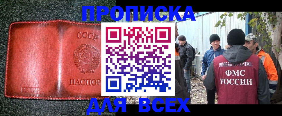временная регистрация поиск в Новодвинске